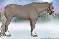 Horse Color:Silver Blue Roan Sabino