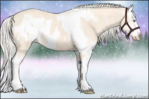 Horse Color:Cremello Splash  and Cremello Splash Frame 