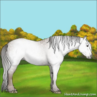 Horse Color:Gray Classic Champagne 