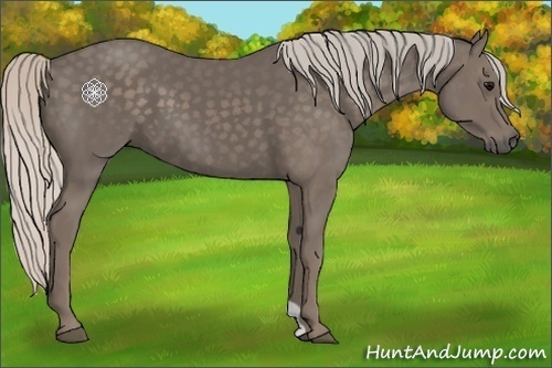 Horse Color:Silver Black 