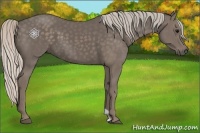 Horse Color:Silver Black 