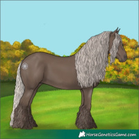 Horse Color:Silver Black 