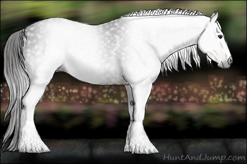 Horse Color:Gray White Spotted Liver Chestnut 