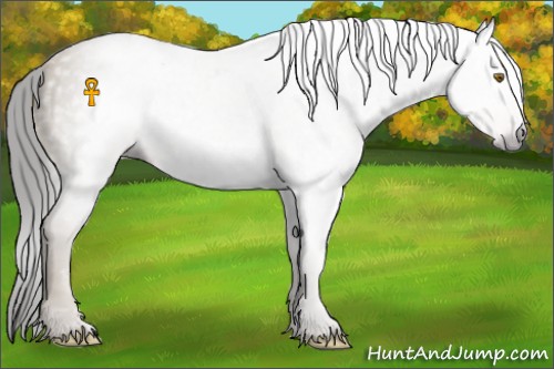 Horse Color:Gray Classic Cream Champagne 