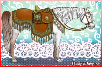 Horse Color:Gray Gold Champagne 
