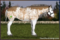 Horse Color:Buckskin Splash  and Silver Buckskin Splash 