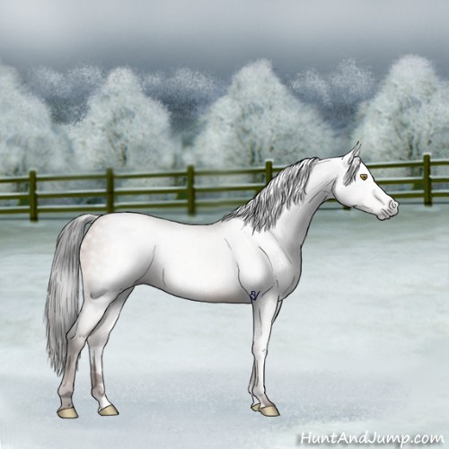 Horse Color:Gray Sable Champagne 