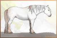 Horse Color:Gray Gold Champagne 