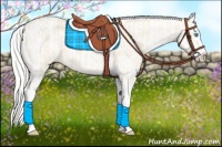 Horse Color:Cremello Splash  and Cremello Splash 