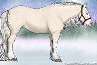 Horse Color:Cremello Splash  and Cremello Splash 