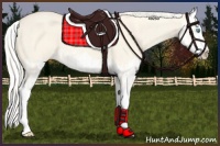 Horse Color:Cremello Dun Splash  and Cremello Dun Splash 