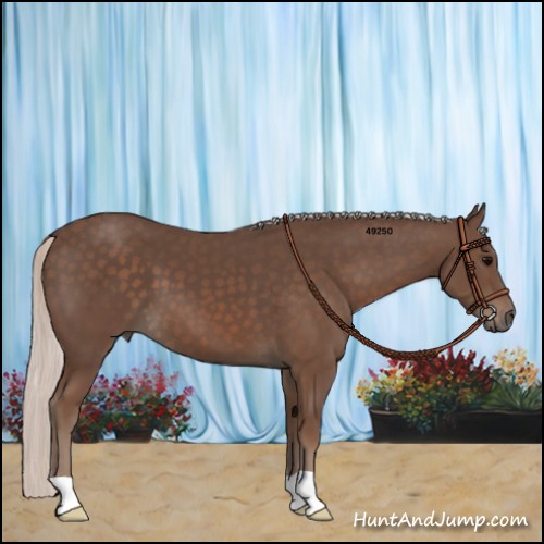 Horse Color:Silver Black 