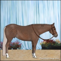 Horse Color:Silver Black 