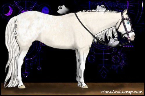 Horse Color:Cremello Splash Appaloosa  and Cremello Splash Appaloosa 