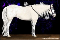Horse Color:Cremello Splash Blanket and Cremello Splash Blanket
