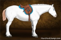 Horse Color:Bay Splash Appaloosa