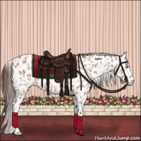 Horse Color:Amber Champagne Appaloosa  and Amber Champagne Appaloosa Rabicano 