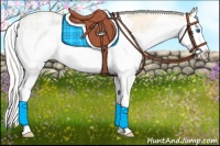 Horse Color:Cremello Splash Blanket  and Cremello Splash Blanket 