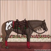 Horse Color:Liver Chestnut Blanket Rabicano