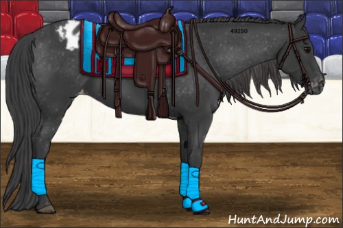 Horse Color:Black Appaloosa Rabicano