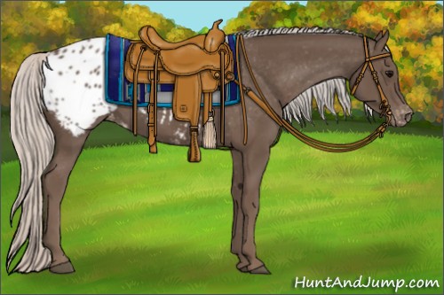 Horse Color:Silver Black Blanket