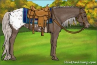 Horse Color:Silver Black Blanket