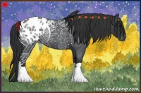 Horse Color:Blue Roan Blanket Rabicano