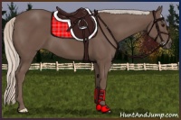 Horse Color:Silver Black 