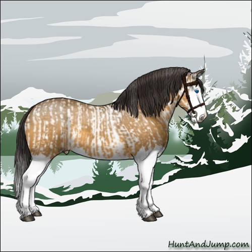 Horse Color:White Spotted Buckskin Splash  and Buckskin Splash 