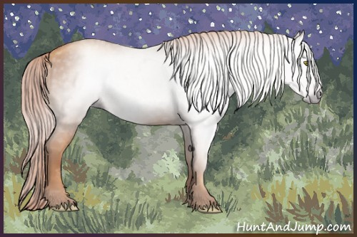 Horse Color:Gray Gold Champagne 
