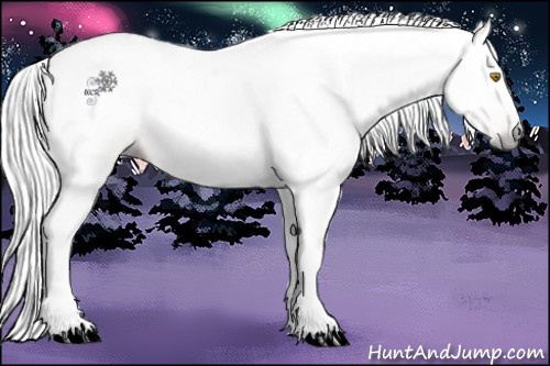 Horse Color:Gray Amber Champagne