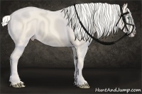 Horse Color:Cremello Frame