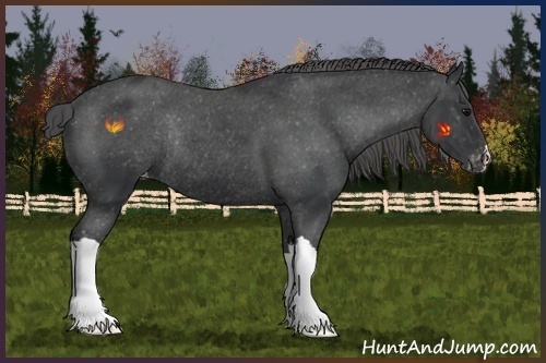 Horse Color:Black Varnish Rabicano 