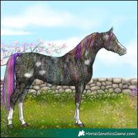 Horse Color:Painted Liver Chestnut Ice Pearl