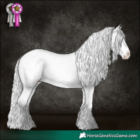 Horse Color:Silver Smoky Blue Chinchilla Roan Appaloosa Rabicano 