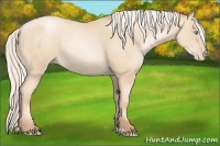 Horse Color:Silver Sable Cream Champagne Pearl