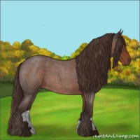 Horse Color:Liver Red Roan 