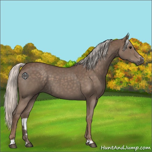 Horse Color:Silver Blue Roan Sabino 
