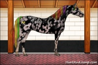 Horse Color:Void Painted White Spotted Smoky Black Ice Sabino Near Leopard 