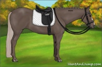 Horse Color:Silver Black 