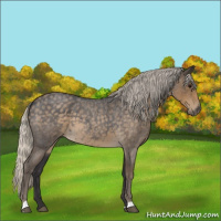 Horse Color:Silver Smoky Blue Roan