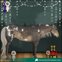 Horse Color:White Spotted Silver Smoky Black 
