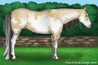Horse Color:White Spotted Bay Dun Splash Frame