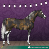 Horse Color:Smoky Black Tobiano  and Silver Buckskin Splash 