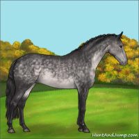 Horse Color:Platinum Buckskin Roan 
