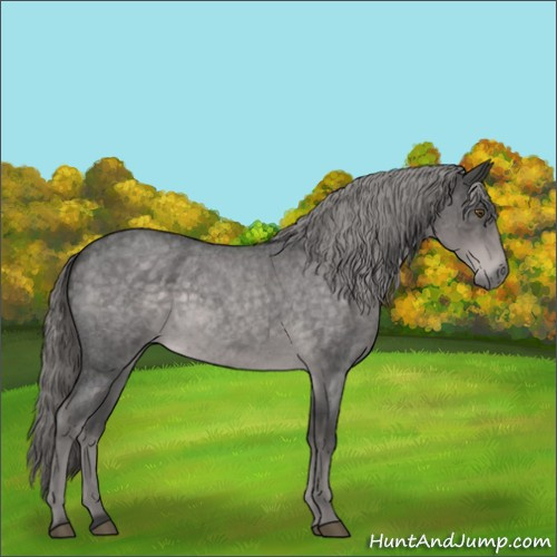 Horse Color:Platinum Chocolate Palomino Roan 
