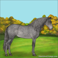 Horse Color:Platinum Chocolate Palomino Roan 