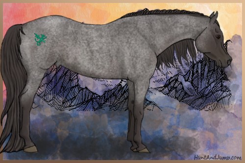 Horse Color:Smoky Blue Roan 