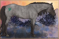 Horse Color:Smoky Blue Roan