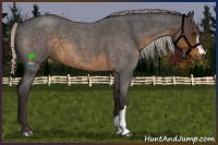 Horse Color:Silver Smoky Blue Roan 